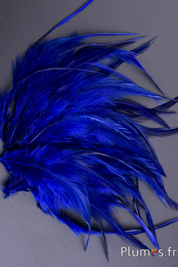 Coq - 15-18 cm - bleu café